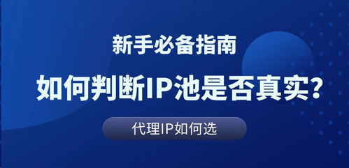 代理IP池解析與真實測評 科技推廣和應用服務的核心工具